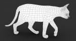 Cat 3D Model Online | Animal 3D Model Online