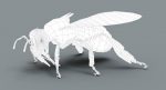 Honeybee (FUR) (RIGGED) 3D Model Online | Animal 3D Model Online
