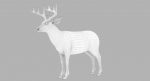 Deer 3D Model Online | Animal 3D Model Online