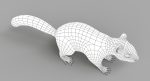 Squirrel 3D Model Online | Animal 3D Model Online