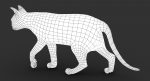 Cat 3D Model Online | Animal 3D Model Online