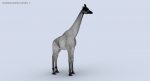 Giraffe (FUR) (RIGGED) 3D Model Online | Animal 3D Model Online