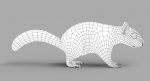 Squirrel 3D Model Online | Animal 3D Model Online