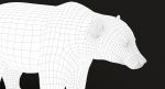 Brown Bear 3D Model Online | Animal 3D Model Online