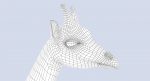 Giraffe (FUR) (RIGGED) 3D Model Online | Animal 3D Model Online