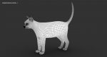 Cat 3D Model Online | Animal 3D Model Online