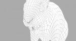 Squirrel 3D Model Online | Animal 3D Model Online