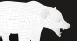 Brown Bear 3D Model Online | Animal 3D Model Online
