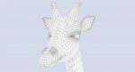 Giraffe (FUR) (RIGGED) 3D Model Online | Animal 3D Model Online