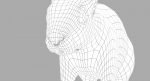 Squirrel 3D Model Online | Animal 3D Model Online