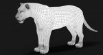Lion 3D Model Online | Animal 3D Model Online