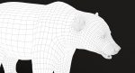Brown Bear 3D Model Online | Animal 3D Model Online