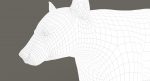 Black Bear 3D Model Online | Animal 3D Model Online