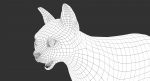 Cat 3D Model Online | Animal 3D Model Online