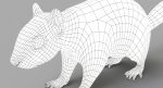 Squirrel (FUR) (RIGGED) 3D Model Online | Animal 3D Model Online