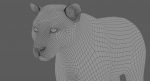 White Tiger 3D Model Online | Animal 3D Model Online