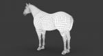 Horse 3D Model Online | Animal 3D Model Online