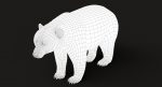 Brown Bear 3D Model Online | Animal 3D Model Online