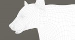 Black Bear 3D Model Online | Animal 3D Model Online