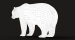 Brown Bear 3D Model Online | Animal 3D Model Online