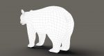 Black Bear 3D Model Online | Animal 3D Model Online