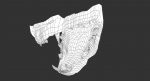 Cat 3D Model Online | Animal 3D Model Online