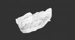 Cat 3D Model Online | Animal 3D Model Online