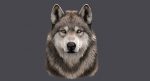 Wolf Head (FUR) 3D Model Online | Animal 3D Model Online