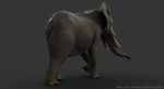 African Elephant (FUR) (ANIMATED) 3D Model Online | Animal 3D Model Online