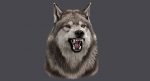 Wolf Head (FUR) 3D Model Online | Animal 3D Model Online