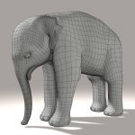 Elephant Calf 3D Model Online