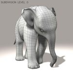 Elephant Calf 3D Model Online