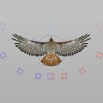 Hawk 3D Model Online | 3D Model Online