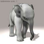 Elephant Calf 3D Model Online
