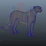 Cheetah (FUR) (ANIMATED) 3D Model Online | Animal 3D Model Online