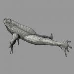 Green Frog 3D Model Online | 3D Model Online