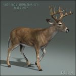 Deer (ANIMATED) 3D Model Online | 3D Model Online