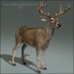 Deer (ANIMATED) 3D Model Online | 3D Model Online