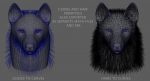 Wolf Head (FUR) 3D Model Online | Animal 3D Model Online