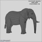 African Elephant (FUR) (ANIMATED) 3D Model Online | Animal 3D Model Online
