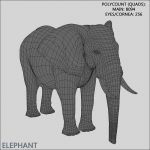 African Elephant (FUR) (ANIMATED) 3D Model Online | Animal 3D Model Online