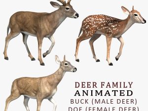 Deer 3D Model Online | 3D Model Online