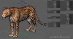 Leopard 3D Model Online | 3D Model Online