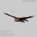Golden Eagle (ANIMATED) 3D Model Online | 3D Model Online