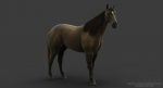 Horse 3D Model Online