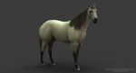 Horse 3D Model Online