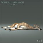 Doe (ANIMATED) 3D Model Online | 3D Model Online