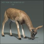 Doe (ANIMATED) 3D Model Online | 3D Model Online