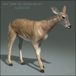 Doe (ANIMATED) 3D Model Online | 3D Model Online
