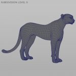 Cheetah (FUR) (ANIMATED) 3D Model Online | Animal 3D Model Online